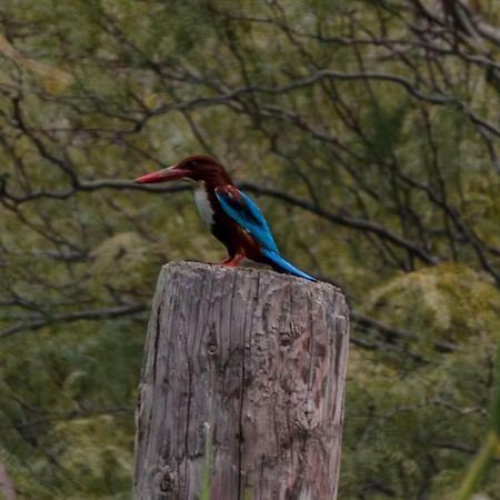 Sharhabil Bin Hasnah Ecopark Hotel Qulay'at ภายนอก รูปภาพ